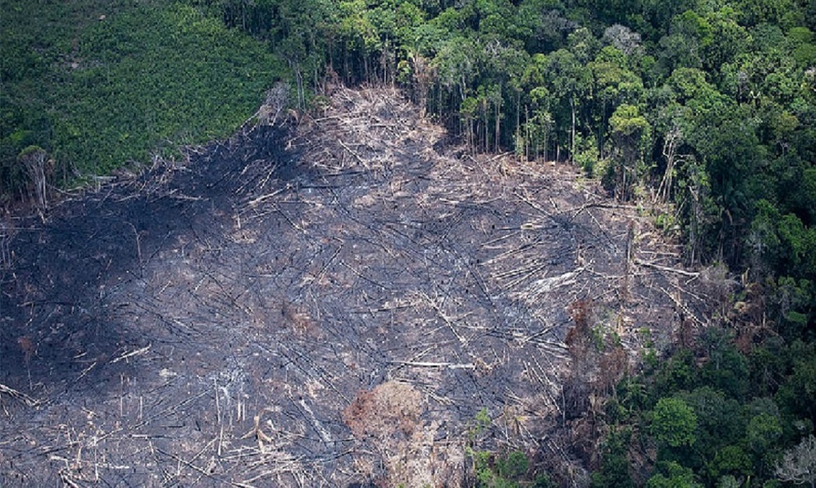 Pesquisadores quantificaram pela primeira vez o impacto do desmatamento nas mudanças climáticas que afetam o bioma durante a estação seca.