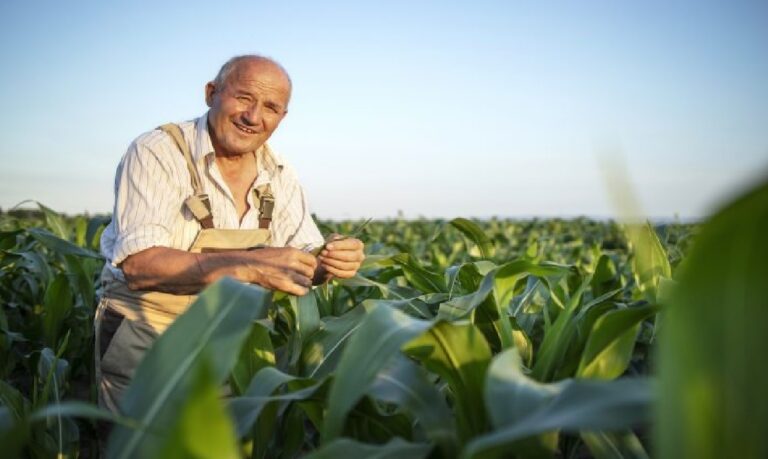 Especialistas alertam que a nutrição equilibrada é parte essencial do tratamento e pode reduzir complicações.