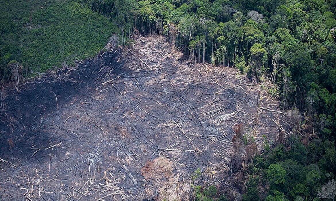 A estação seca na Amazônia, que vai de julho a novembro, varia conforme a região.