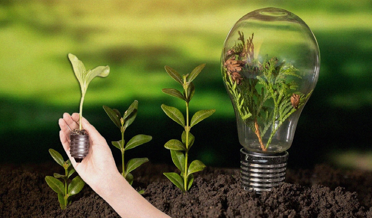 A participação pública é essencial para fortalecer esse instrumento de governança ambiental.