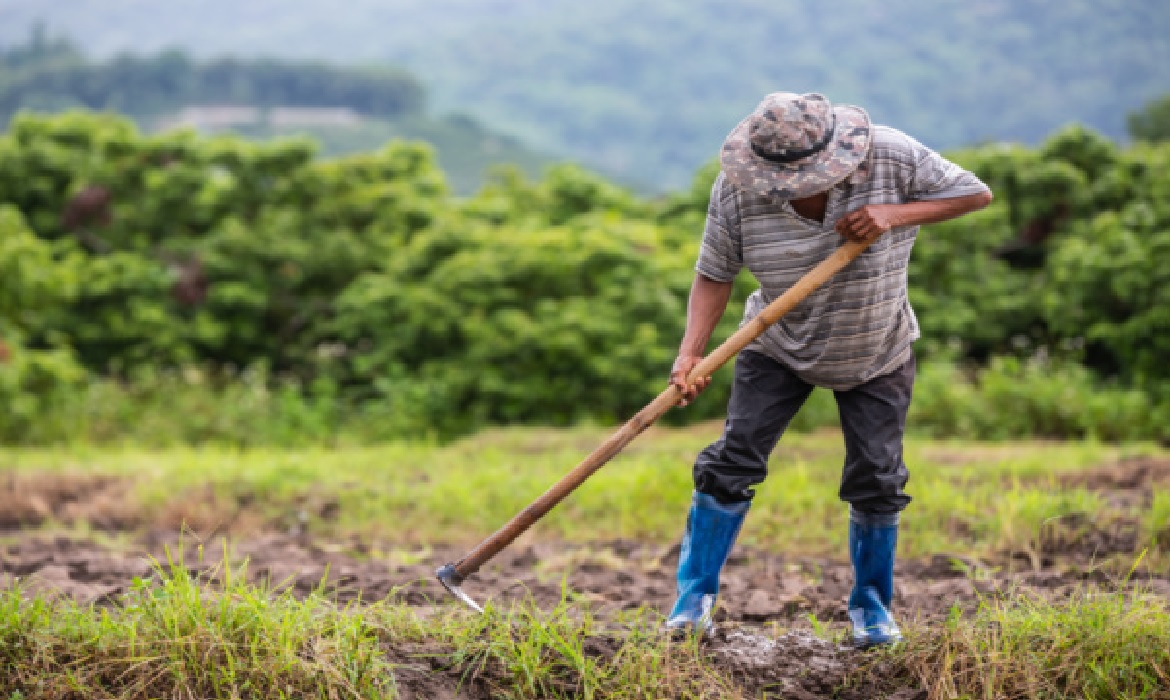 A decisão afasta a tese de que a produção agrícola seria automaticamente impenhorável por estar vinculada à propriedade rural.