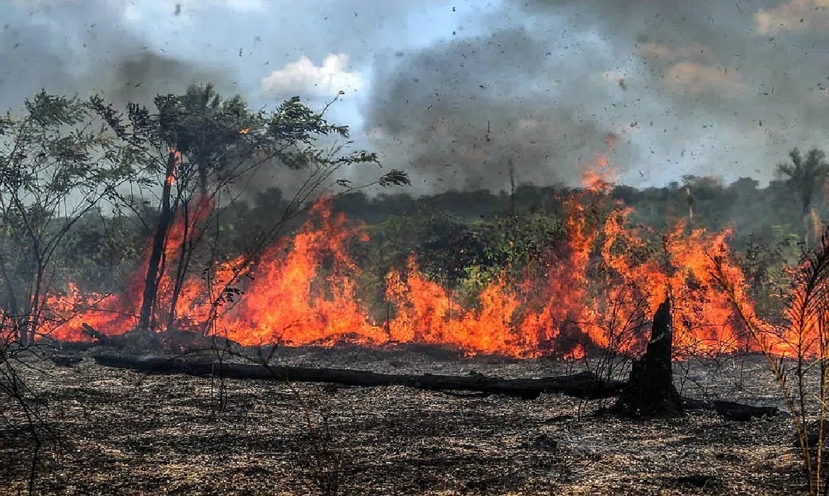 O avanço das queimadas reforça a urgência de políticas ambientais eficazes e coloca o Brasil sob os holofotes internacionais na pauta climática.