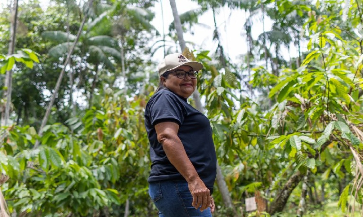 Em uma pequena choupana cercada pela floresta, Dona Nena transforma o cacau que colhe no Combu em deliciosos chocolates artesanais.