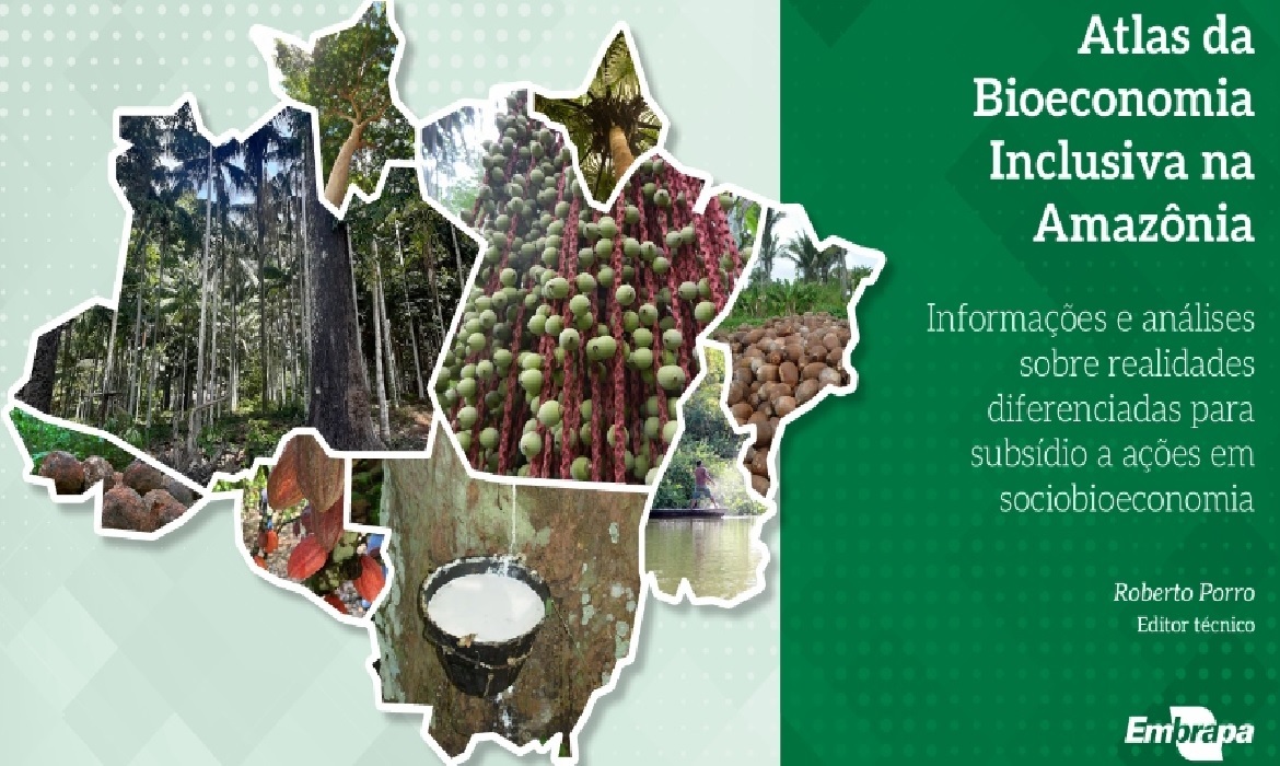 O Atlas da Bioeconomia reúne dados atualizados sobre produção, territórios e potencial econômico da Amazônia Legal.