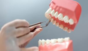 O avanço já recebeu reconhecimento internacional de uma das principais academias científicas do mundo, mostrando que a ciência feita no Brasil acompanha o que há de mais moderno e sustentável na área.