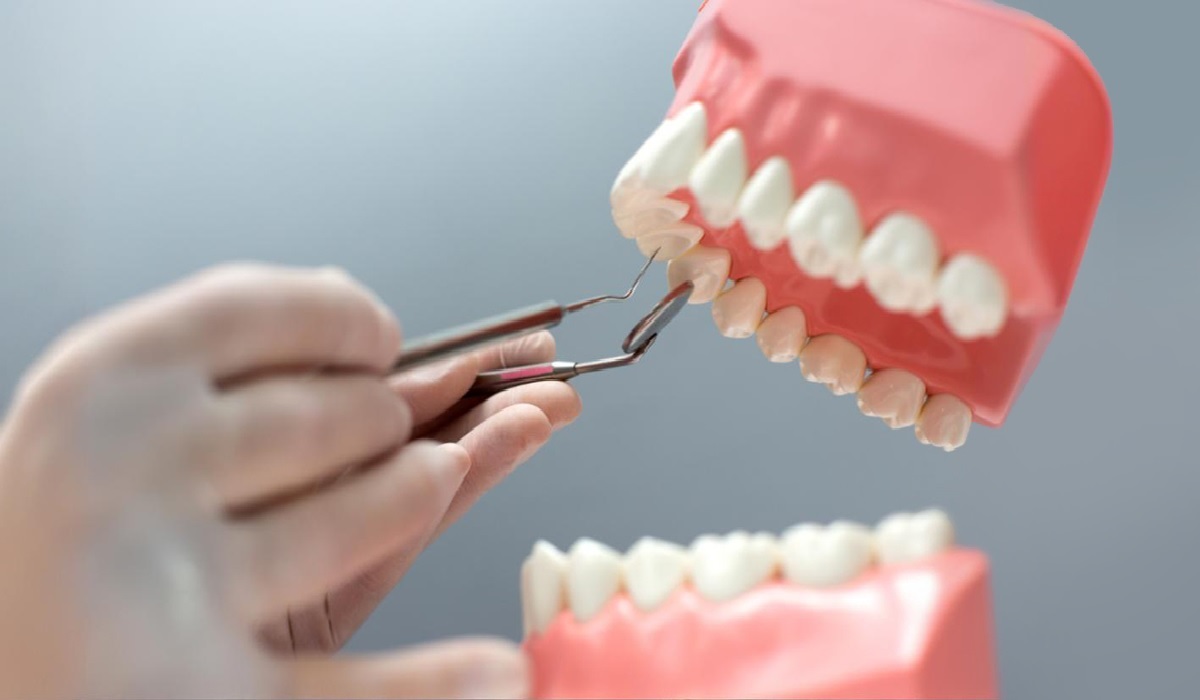 O avanço já recebeu reconhecimento internacional de uma das principais academias científicas do mundo, mostrando que a ciência feita no Brasil acompanha o que há de mais moderno e sustentável na área.