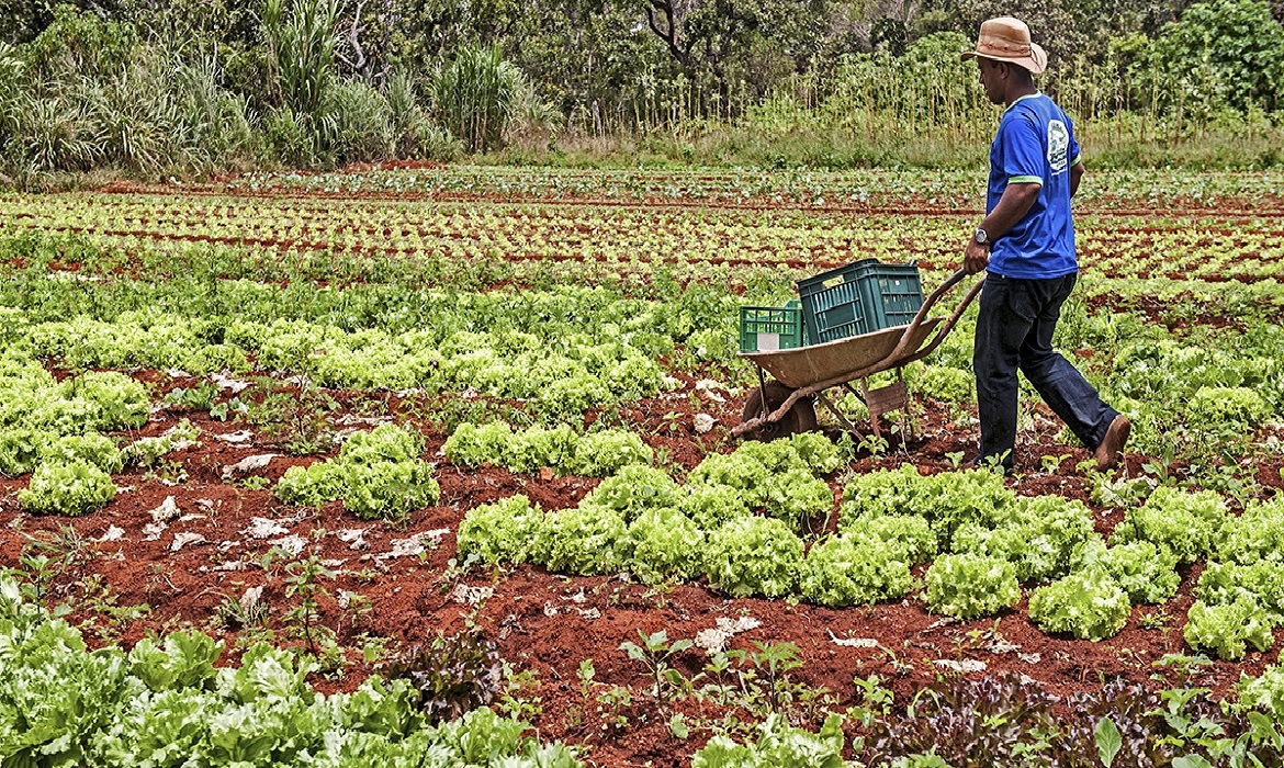 A Comissão aprovou a proposta que reconhece agricultores de subsistência como parte da categoria de extrativistas.