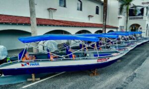 As ações do Projeto TIPITI também fortalecem a execução do Programa de Aquisição de Alimentos (PAA) no Pará, ampliando o apoio à agricultura familiar e à economia local.