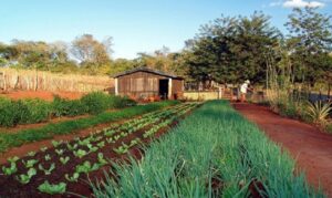 A proposta segue para análise da Comissão de Constituição e Justiça e de Cidadania.