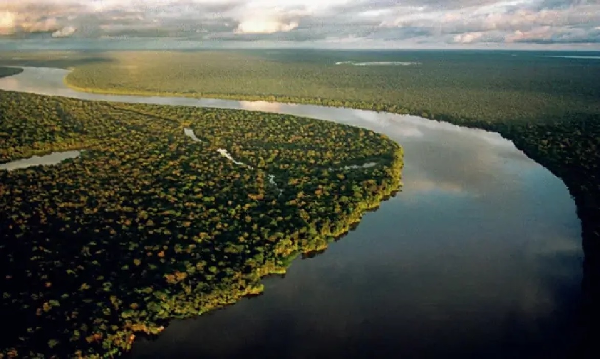 Em artigo, o presidente do Sebrae, Décio Lima, destaca o papel essencial dos pequenos negócios na busca pela justiça climática e no enfrentamento das mudanças climáticas.