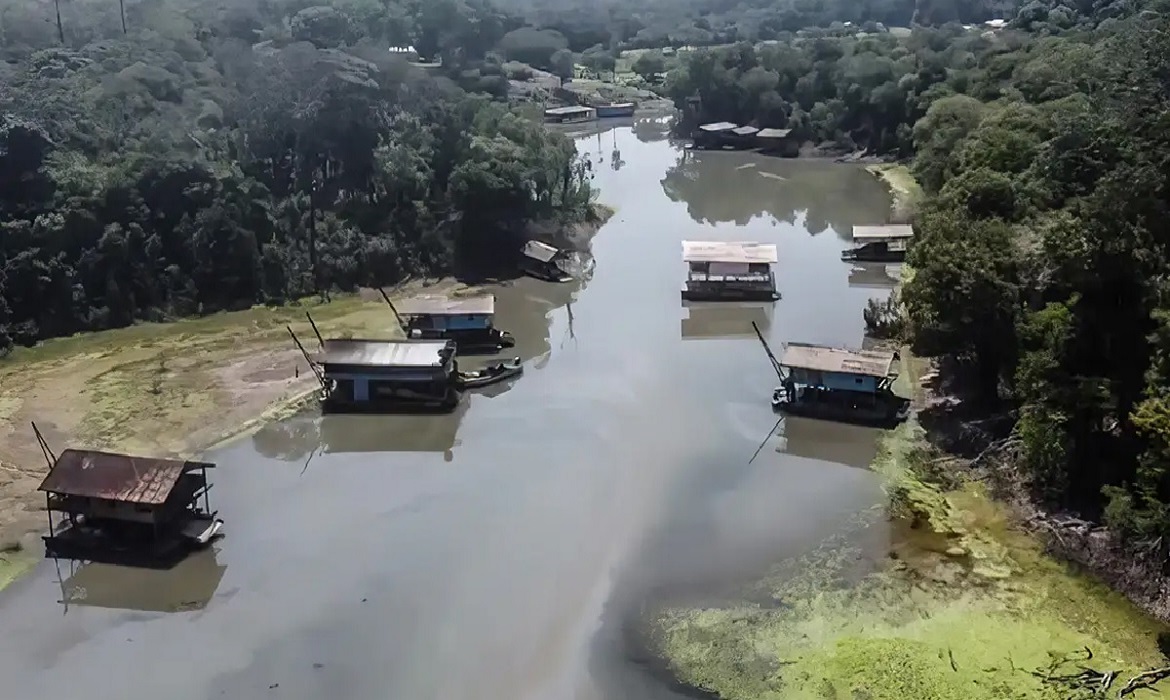 A pesquisa mostra que o selênio presente em peixes consumidos na Amazônia pode reduzir os efeitos do mercúrio no organismo.