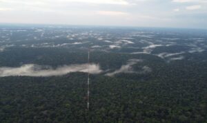 A participação do Inpa reforça o compromisso da ciência brasileira em ocupar espaços estratégicos de decisão e promover soluções sustentáveis para o futuro da região.