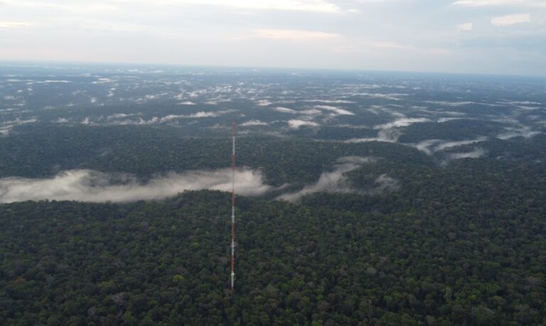 A participação do Inpa reforça o compromisso da ciência brasileira em ocupar espaços estratégicos de decisão e promover soluções sustentáveis para o futuro da região.