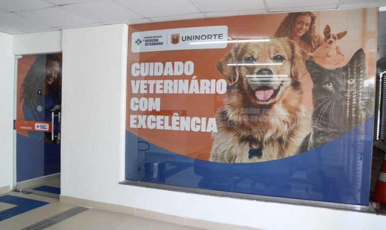 Vacinação em dia e cuidados preventivos são essenciais para a saúde e a qualidade de vida dos pets.