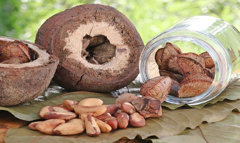 O produto se apresenta como opção promissora para consumidores que procuram ingredientes mais saudáveis.