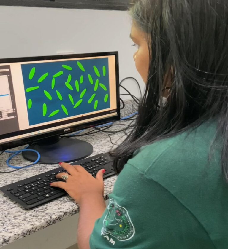 A proposta mostra como a tecnologia pode ser aliada da floresta, gerando impacto positivo e soluções sustentáveis.