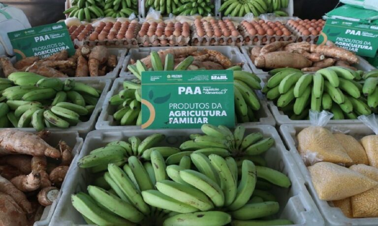 Com mais apoio e estrutura, o campo avança e melhora a qualidade de vida de quem vive da produção rural no Amazonas.