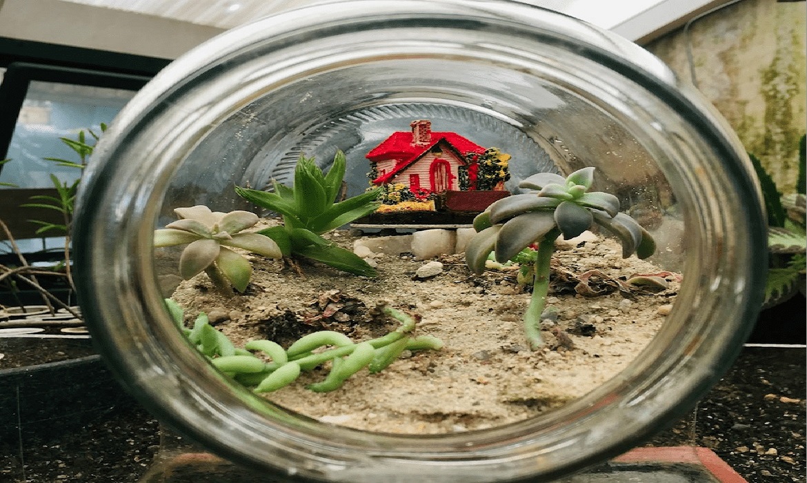 Cada experiência ensina, cada erro ajusta o caminho e cada acerto fortalece a caminhada.