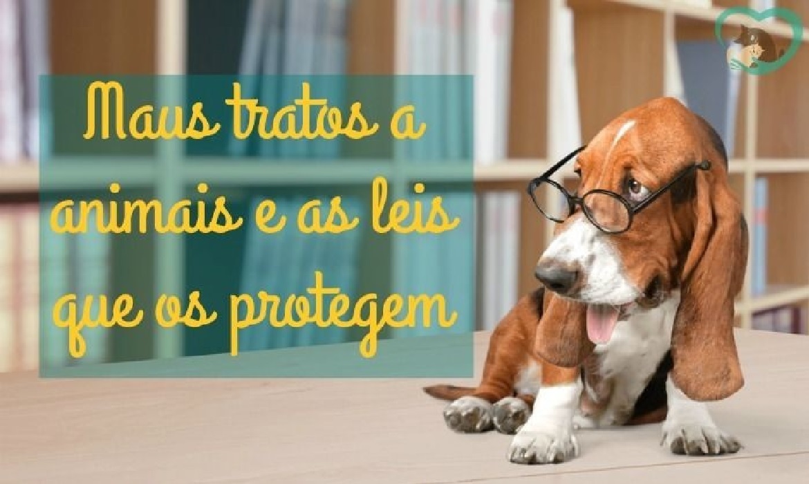 Mais do que regras no papel, essas leis representam respeito, empatia e um compromisso real com o bem-estar dos animais.