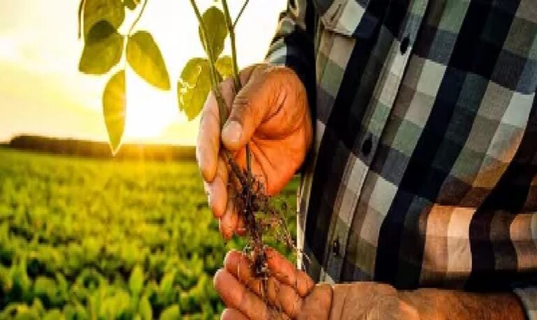 A proposta é melhorar a qualidade dos alimentos, incentivar práticas sustentáveis e aumentar a confiança de quem consome.