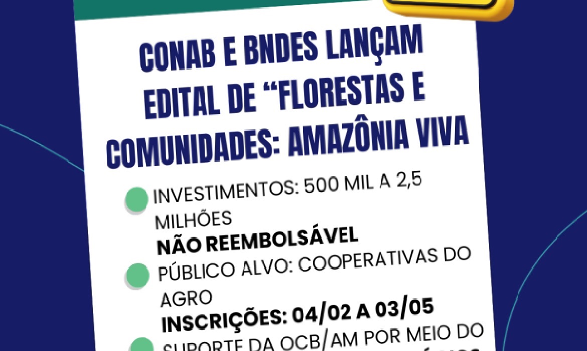 A iniciativa é voltada a cooperativas que buscam crescer com apoio financeiro e planejamento estruturado.