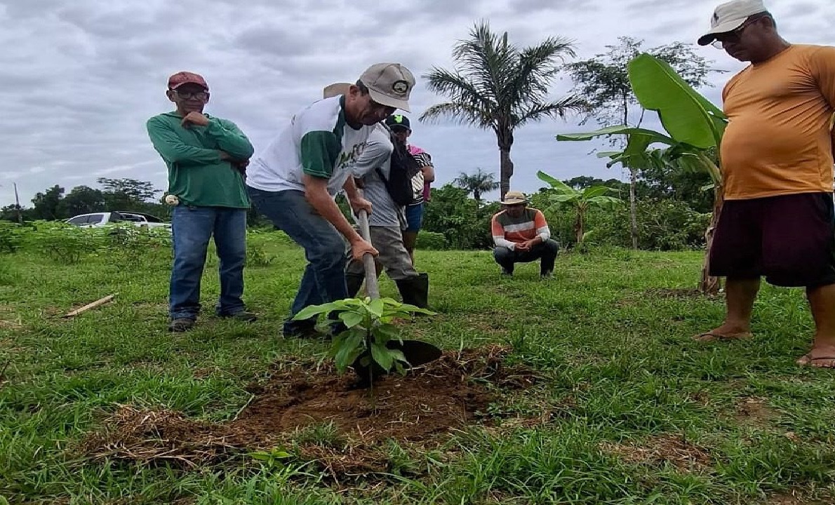 A iniciativa reforça a importância da assistência técnica no interior e mostra como conhecimento pode se transformar em renda. Quando a produção de melancia cresce com planejamento e cuidado, quem ganha é o produtor, a comunidade e o consumidor.