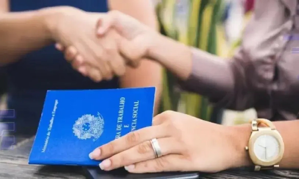 Os dados mostram que, espalhadas por bairros e cidades de todo o Brasil, as MPEs seguem sendo o motor do emprego e da renda.