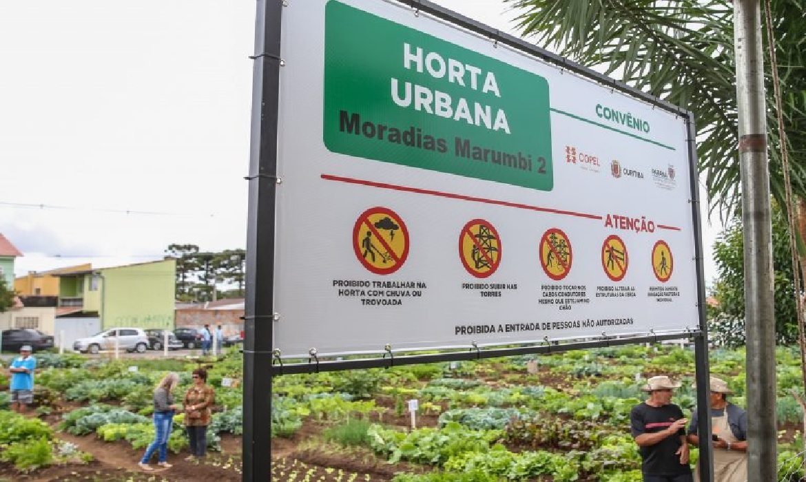 Além de estimular a agricultura urbana, o projeto aposta na alimentação saudável, na geração de renda e na ocupação inteligente das cidades.