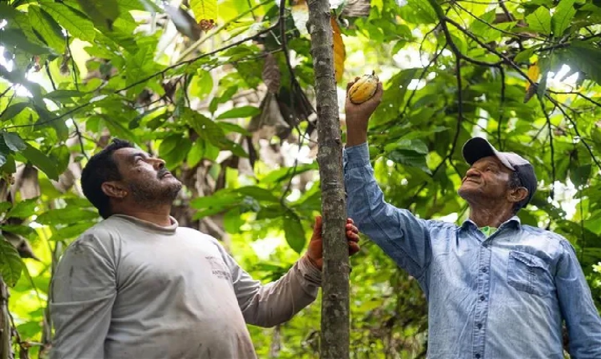 O encontro abriu espaço para avaliar desafios e propor caminhos que fortaleçam a Agricultura Familiar, responsável por grande parte da produção de alimentos no país.