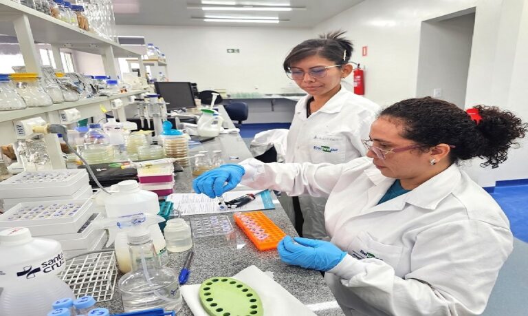 A Embrapa inicia seleção de bolsistas para projeto e programas de iniciação científica com foco na formação de novos talentos.