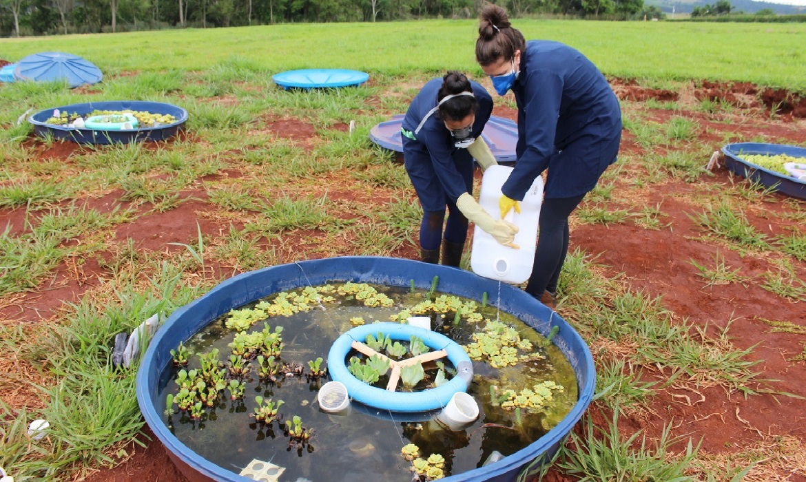 Os experimentos identificaram o desaparecimento de predadores e mudanças nos papéis ecológicos das espécies.