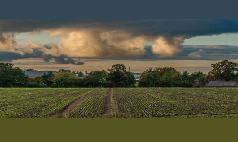 O crescimento do Sicoob no seguro rural mostra que a gestão de risco está ganhando espaço entre produtores que querem mais segurança e estabilidade no campo.