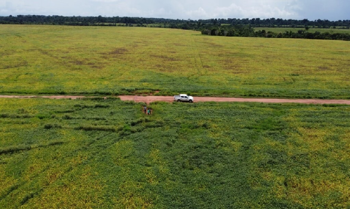 Dados do IBGE indicam que a produção agrícola do estado deve ultrapassar 204 mil toneladas em fevereiro, superando o resultado registrado no Acre no ano passado.