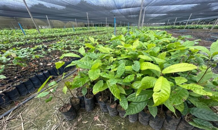 Iniciativa amplia oportunidades e valoriza o trabalho de produtores locais.