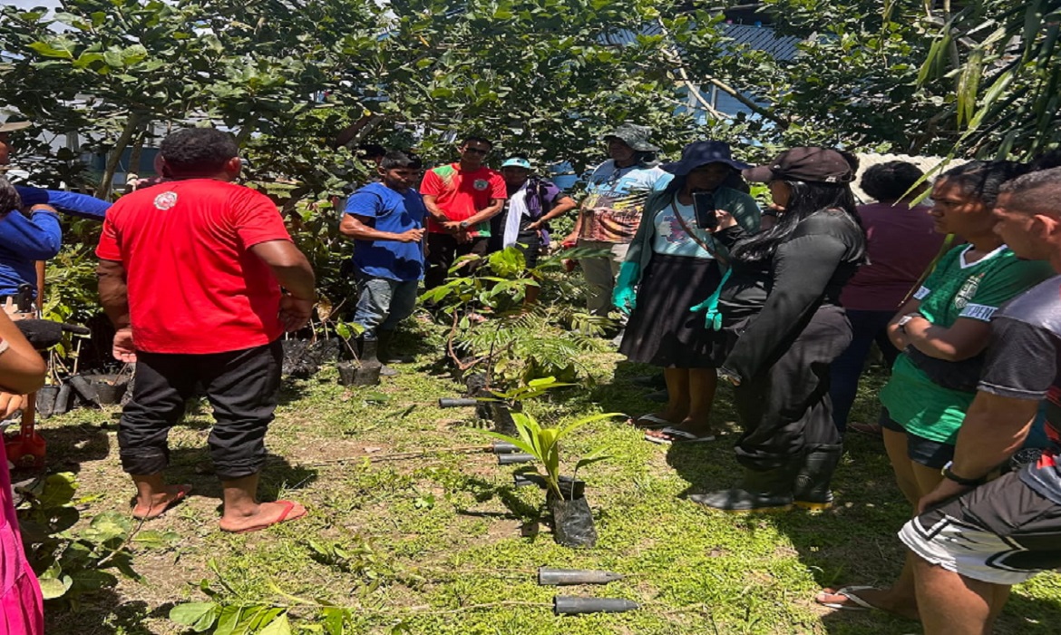 Ação patrocinada pela Equatorial Pará alcança mulheres de Portel, no rio Pacajá e no rio Anapu.