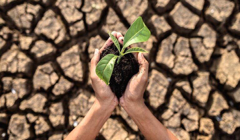 Projeto nasceu em sala de aula, ganhou força e já acumula conquistas com impacto além do ambiente acadêmico.