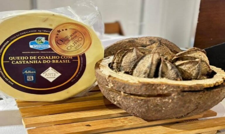 Qualidade e identidade regional impulsionam reconhecimento em prêmios internacionais.