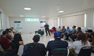 Agenda da bioeconomia ganha impulso com foco no desenvolvimento regional.