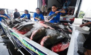 Cerca de 600 instituições sociais serão beneficiadas pelo programa neste ano.