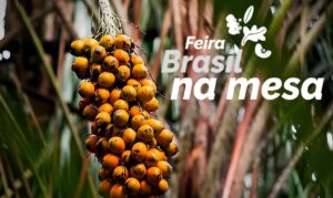 Feira Brasil à Mesa apresenta avanços em sanidade agropecuária e valorização da produção sustentável.
