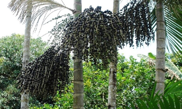 Capacitação acontece nos dias 29 e 30 de abril, com foco em agricultores e comunidades.