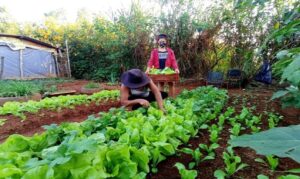 Encontro entre Sistema OCB e OCEs fortalece o papel das coops diante do avanço do endividamento rural.