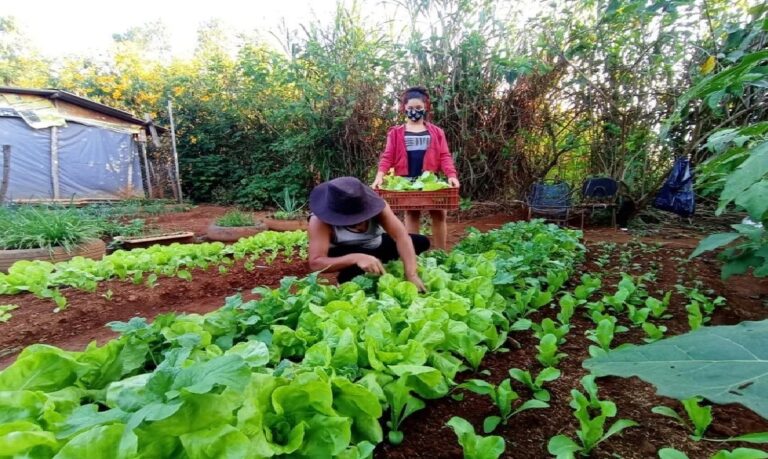 Encontro entre Sistema OCB e OCEs fortalece o papel das coops diante do avanço do endividamento rural.