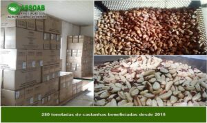 Associação do Amazonas integra seleção nacional de empreendimentos.