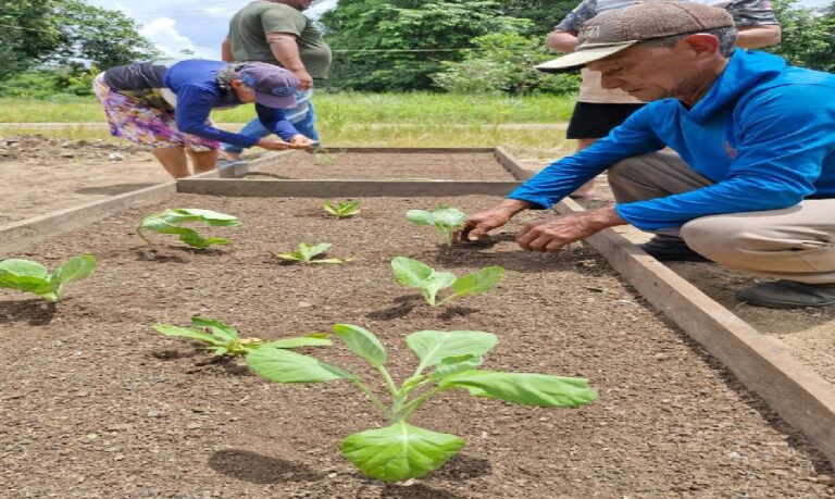 Iniciativas ampliam acesso ao conhecimento e valorizam trabalhadores do campo no Amazonas.