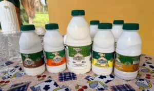 Entrega de resfriador na Fazenda Ouro Branco fortalece a cadeia do leite em Laranjal do Jari.