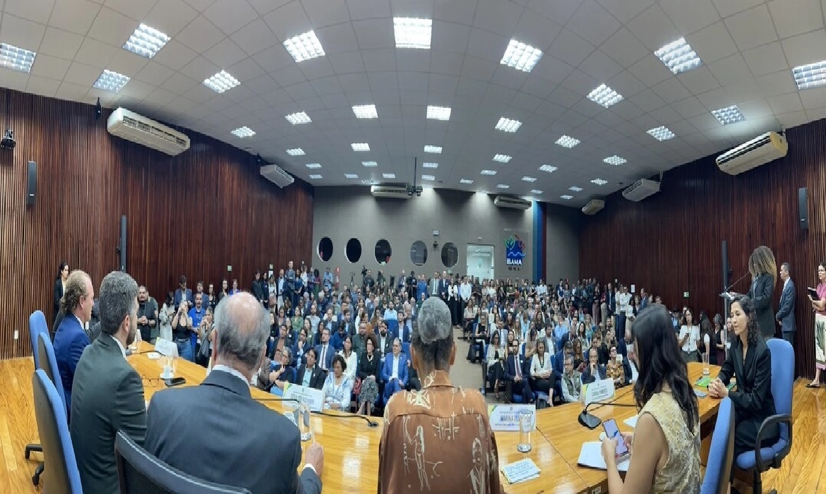 Iniciativa prevê R$ 350 milhões em investimentos para fortalecer o setor.