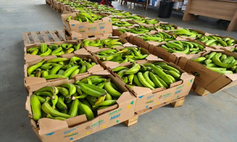 Governo do Estado amplia cardápio com produtos regionais na merenda escolar.