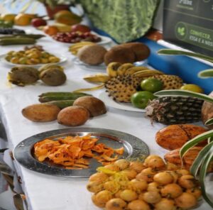 Feira destacou sabores, pesquisas e curiosidades sobre frutos amazônicos no Dia Internacional da Biodiversidade.