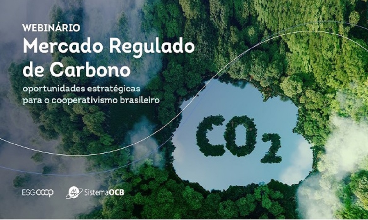 Especialistas discutem caminhos práticos para descarbonização em webinário.